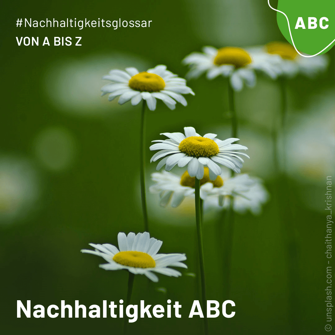 Nachhaltigkeitsglossar