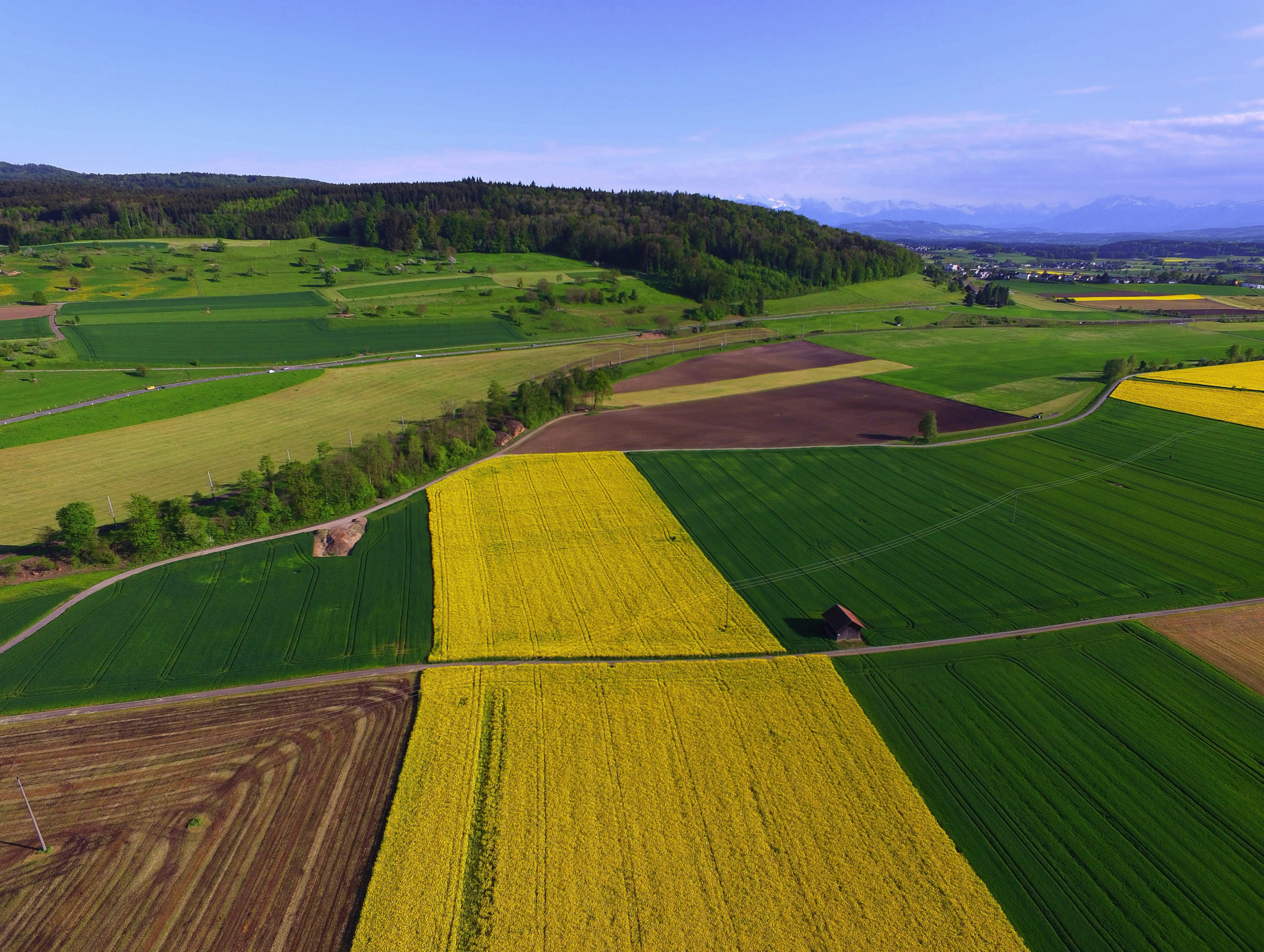 Luftaufnahme von grünen und gelb blühenden Feldern